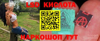 PSILOCYBIN Кулебаки